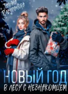 Новый год в лесу с незнакомцем