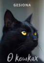 О кошках