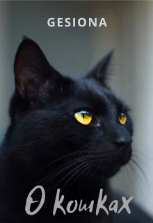О кошках