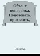 Объект попаданка Поцеловать присвоить жениться