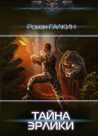 Обреченный взвод Тайна Эрлики роман  Роман Галкин Татьяна Бисс