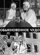 Обыкновенное чудо