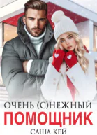 Очень снежный помощник СИ