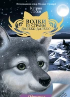 Одиночка  роман
