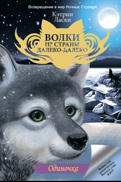 Одиночка  роман