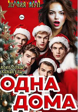 Одна дома Новогодние каникулы