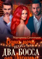 Одна ночь1 Одна ночь или Два босса для Лисички