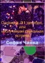 Однажды 31 декабря или Неслучайная случайная встреча