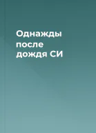 Однажды после дождя СИ