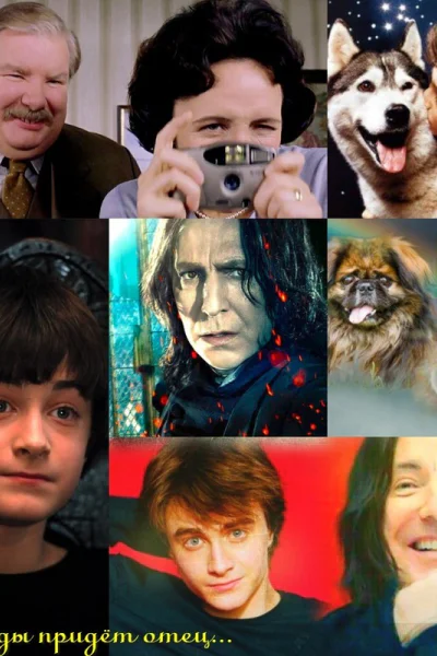 Однажды придёт отец