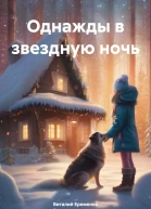Однажды в звездную ночь
