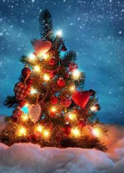 Однажды зимой Сборник