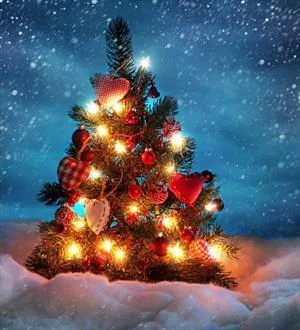 Однажды зимой Сборник