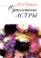 Однолетние астры