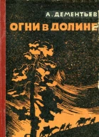 Огни в долине Роман