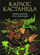 Огонь изнутри