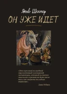 Он уже идет