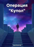 Операция Купол