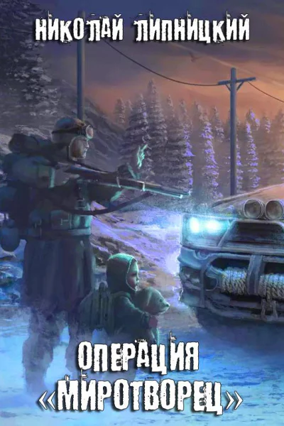 Операция Миротворец