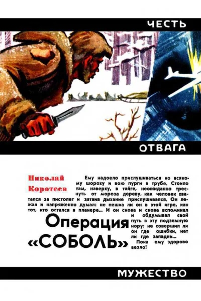 Операция Соболь
