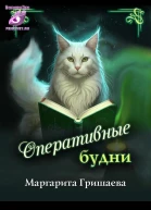 Оперативные будни