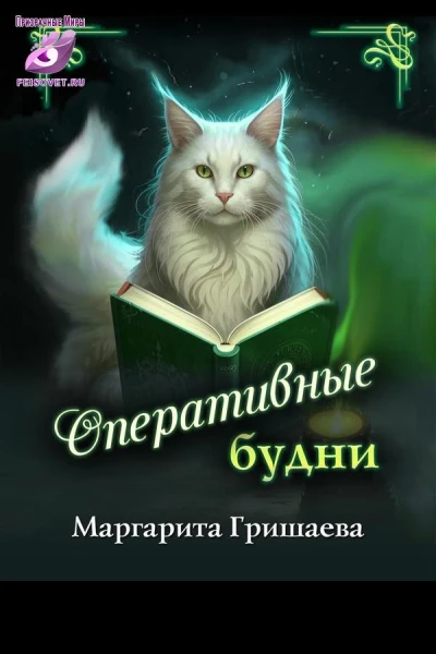 Оперативные будни