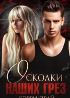 Осколки наших грез
