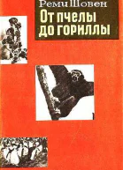 От пчелы до гориллы