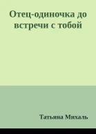 Отецодиночка до встречи с тобой