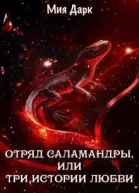Отряд Саламандры или Три истории любви