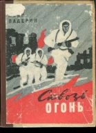 Падерин Иван Григорьевич Сквозь огонь повесть
