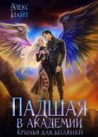 Падшая в академии Крылья для беглянки