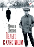 Пальто с хлястиком Короткая проза эссе
