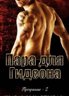 Пара для Гидеона ЛП