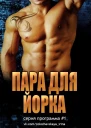 Пара для Йорка ЛП