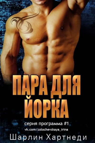 Пара для Йорка ЛП
