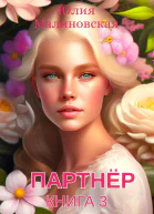 Партнёр Книга 3