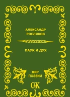 Паук и дух
