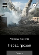 Перед грозой