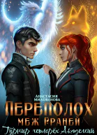 Переполох меж Граней Турнир четырёх Академий