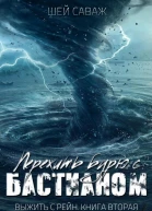 Пережить бурю с Бастианом