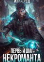 Первый шаг Некроманта Том 2 СИ