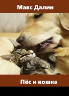Пёс и кошка