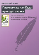 Племяшнаш или Куда приводят звонки