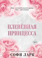 Пленённая принцесса