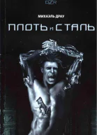Плоть и сталь СИ
