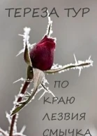 По краю лезвия смычка СИ