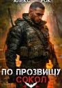 По прозвищу Сокол Том 1