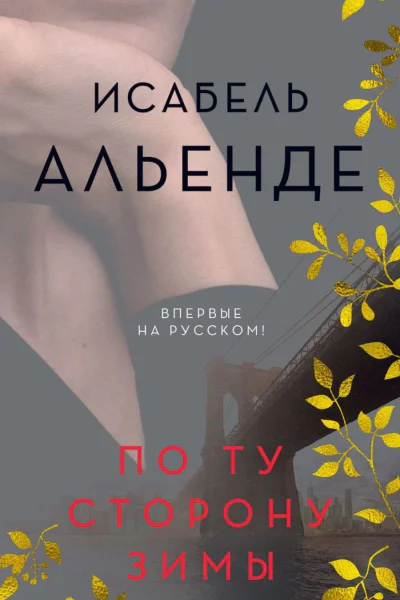 По ту сторону зимы роман