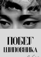 Побег шиповника Часть I